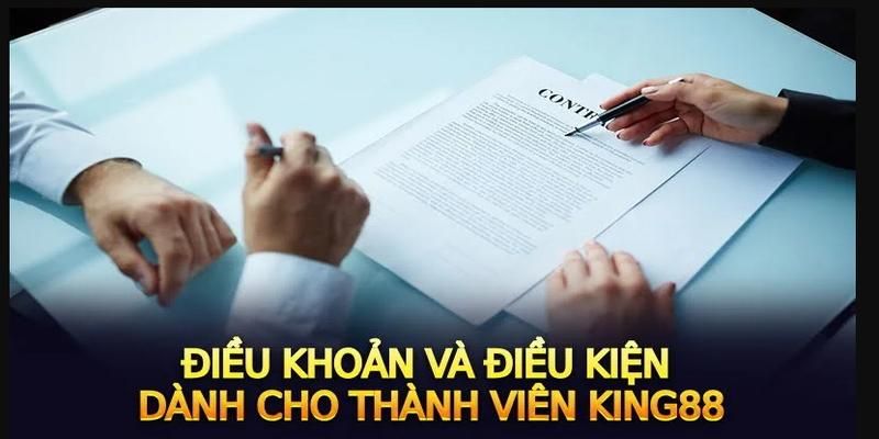 Điều khoản và điều kiện khi tham gia đặt cược bạn cần biết